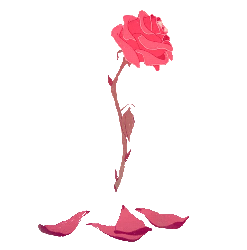 Shop the Disney range