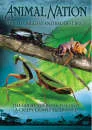 Animal Nation - Worlds Biggest Baddest Bugs Image 1