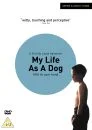 My Life As A Dog