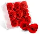 Rose Bath Buds - Red