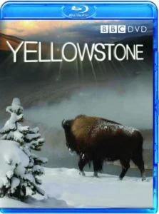 Yellowstone - Tales From The Wild