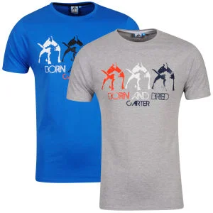 Carter Men's Samuel T-Shirt 2-Pack - Grey Marl and Cobalt