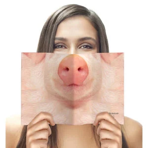 Animal Face Notebook - Pig Image 1