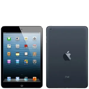 Apple iPad Mini: 16GB Wifi - Black and Slate Image 1