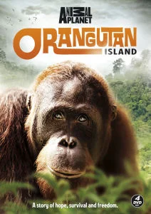 Orangutan Island Image 1