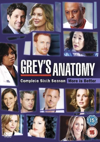 Greys Anatomy - Season 6