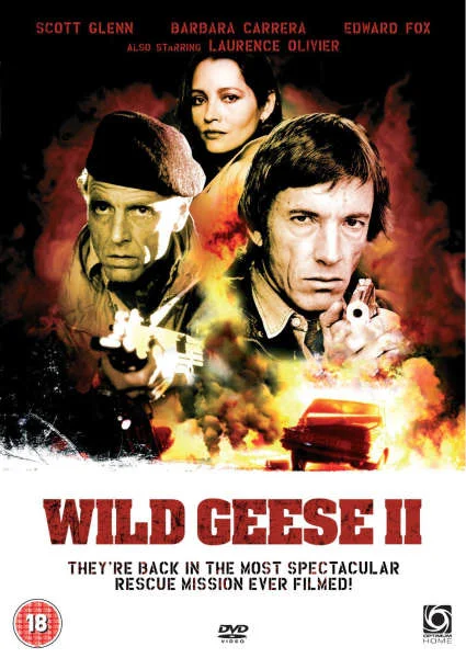 Wild Geese 2 Image 1