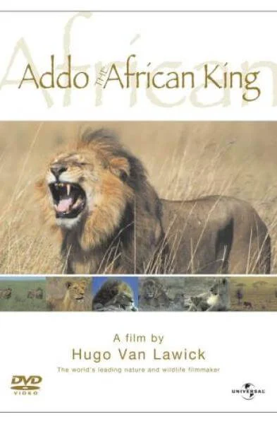 Addo: The African King Image 1