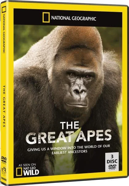 National Geographic Great Apes Image 1