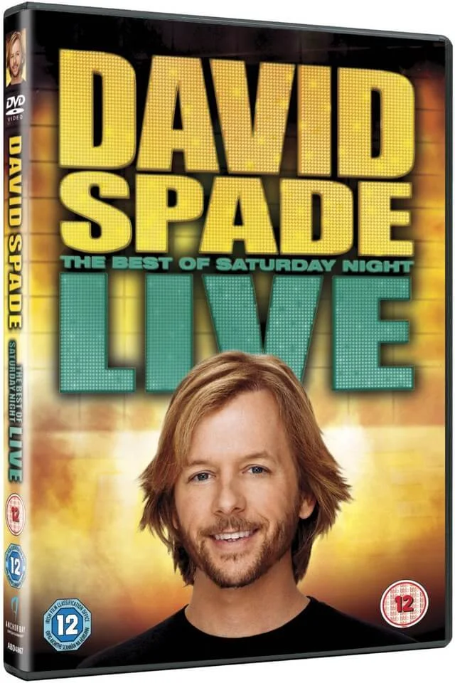 David Spade Live Image 1