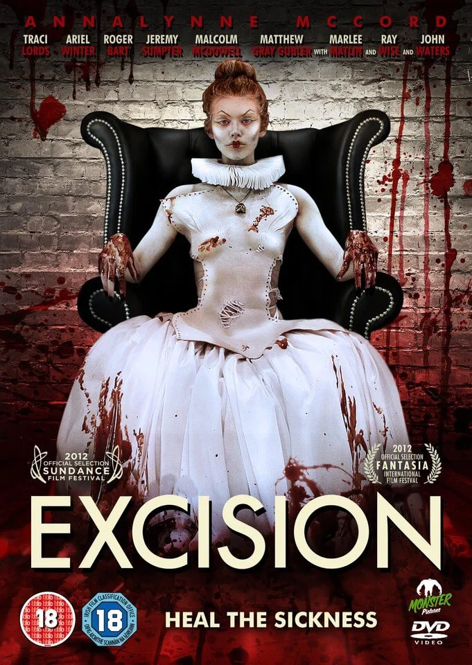 Excision Image 1