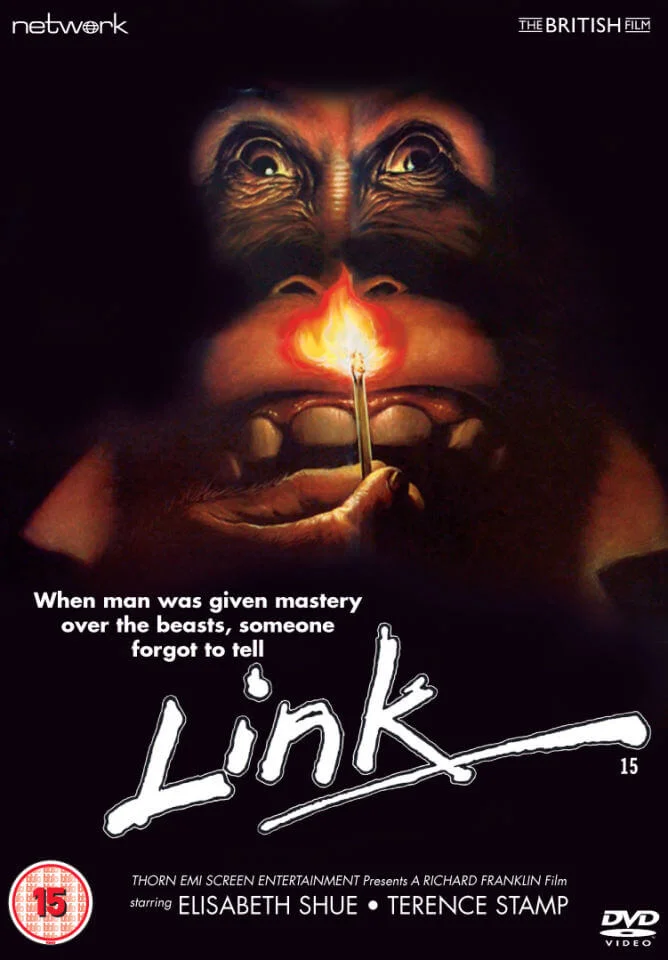 Link Image 1