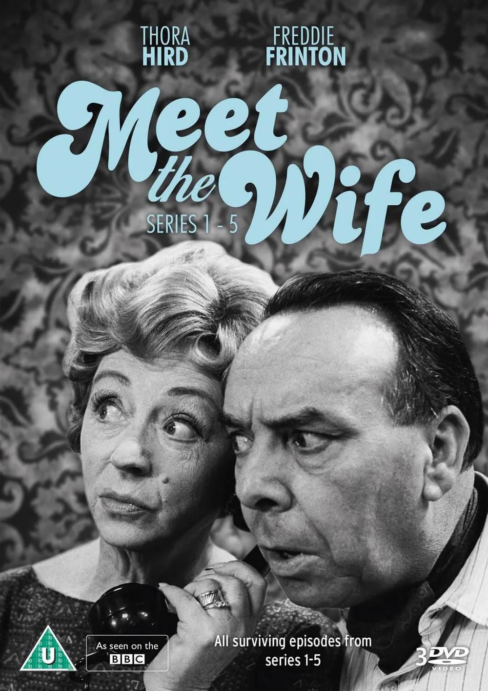 Meet the Wife Image 1