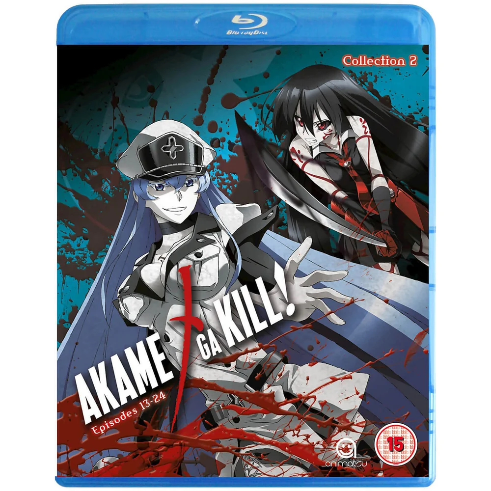 Akame Ga Kill - Collection 2 Image 1