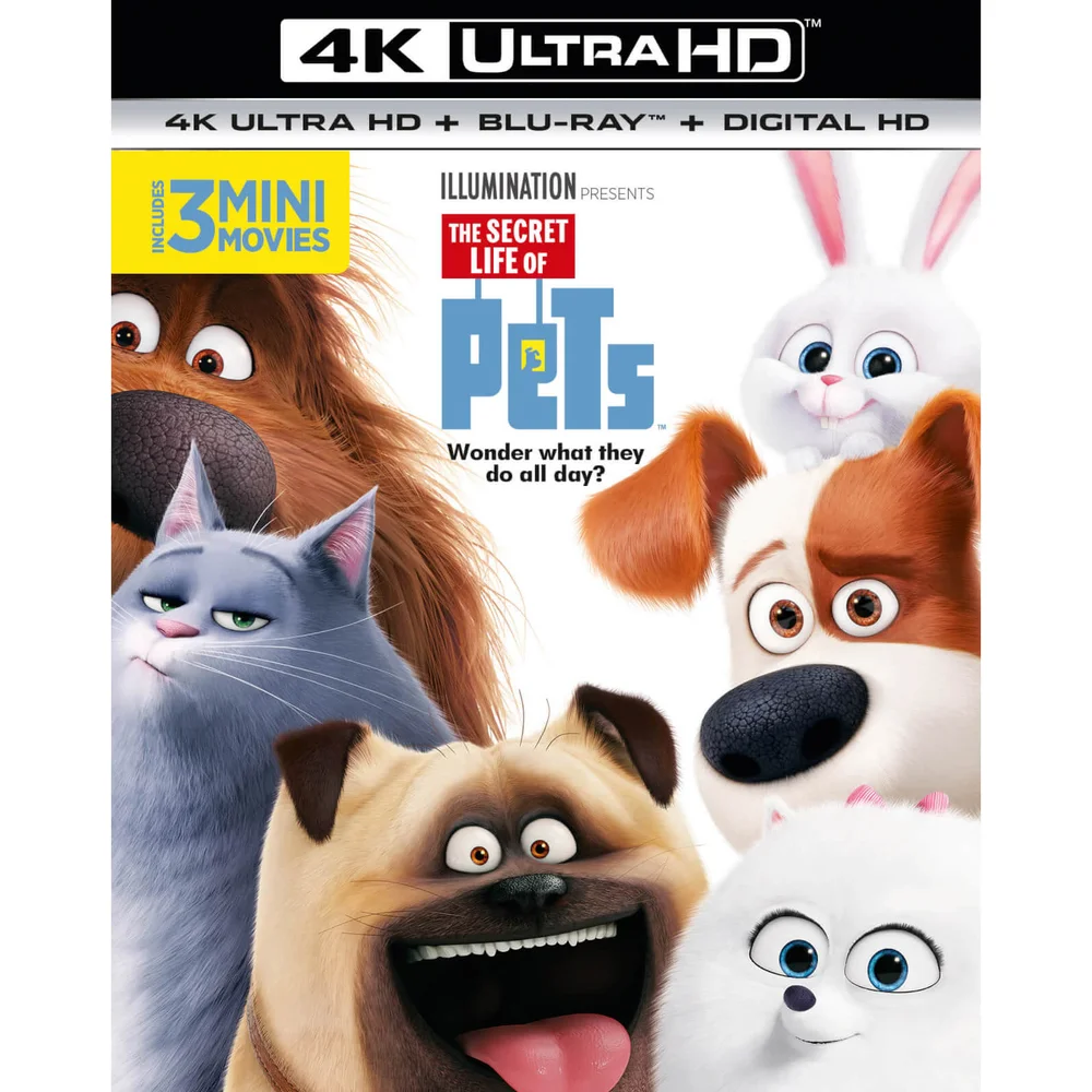 The Secret Life Of Pets - 4K Ultra HD Image 1