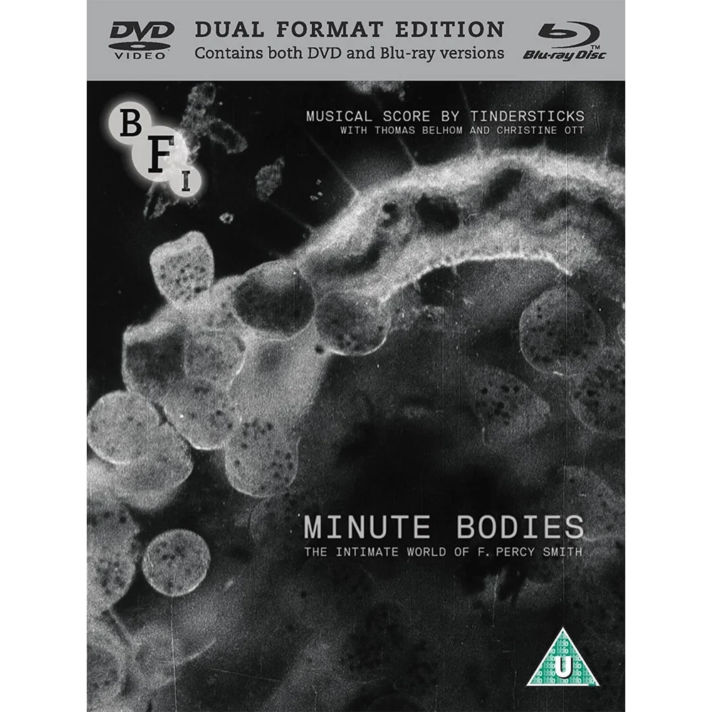 Minute Bodies Image 1