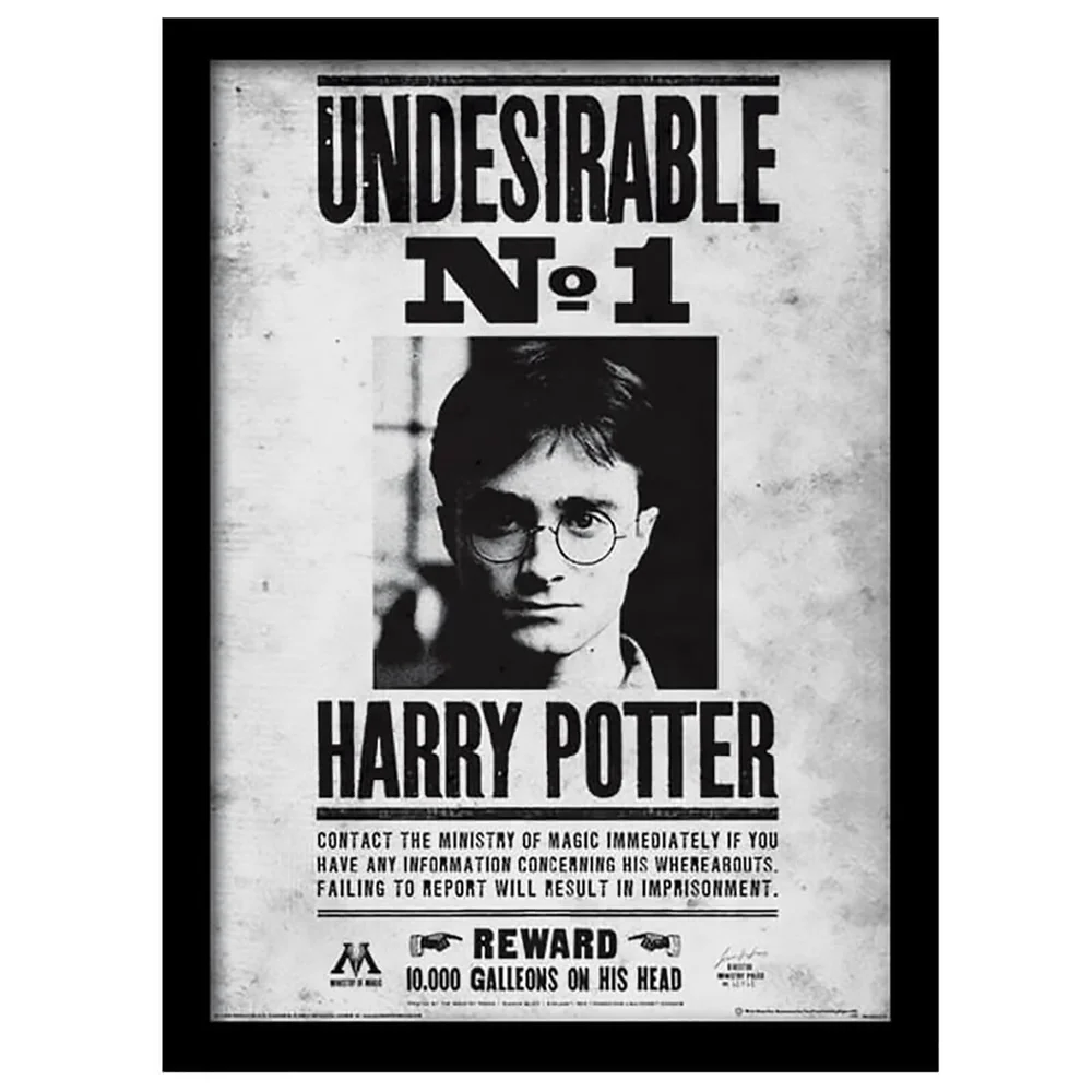 Harry Potter Undesirable No.1 Framed 30 x 40cm Print Image 1