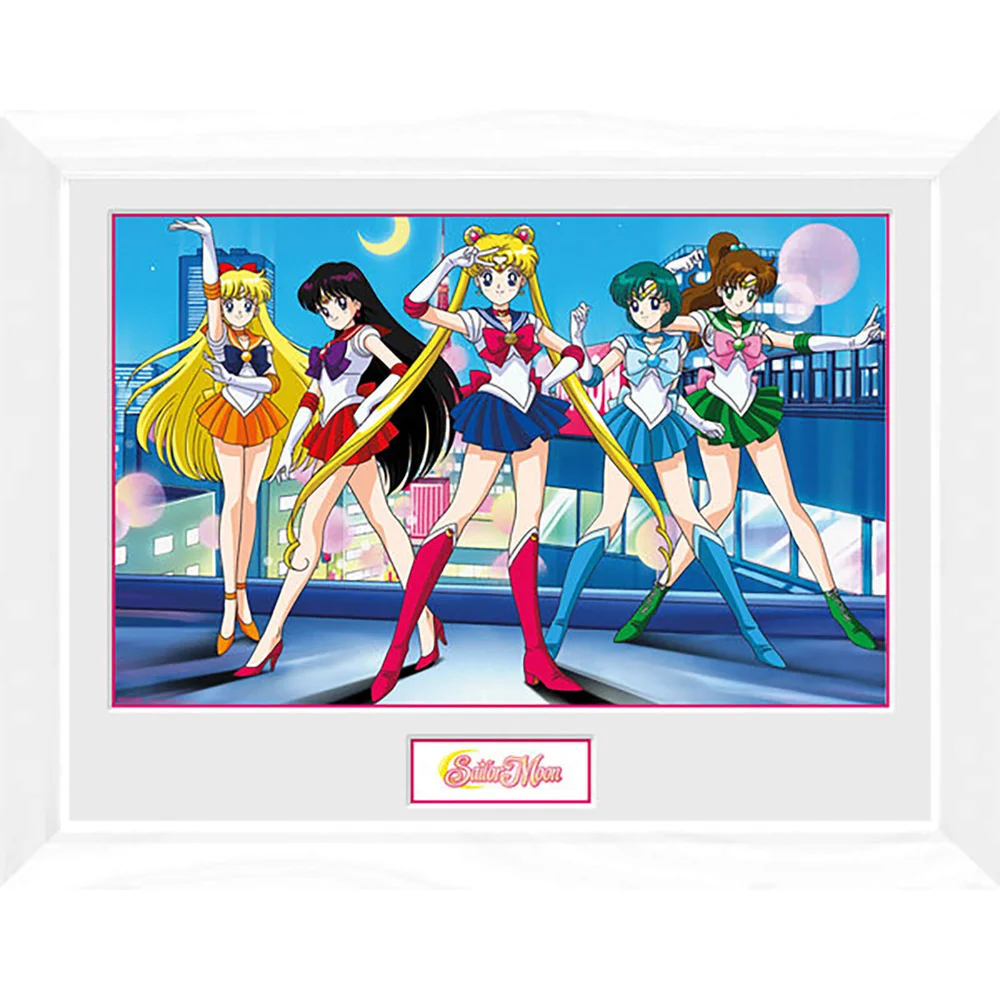 Sailor Moon Group - 16 x 12 Inches Framed Photograph Image 1