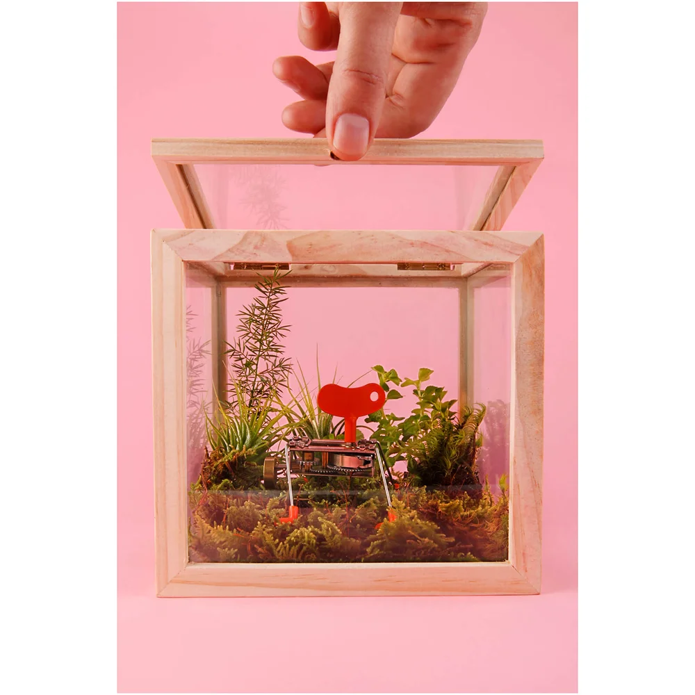 Square Storage Box - Glass Image 1