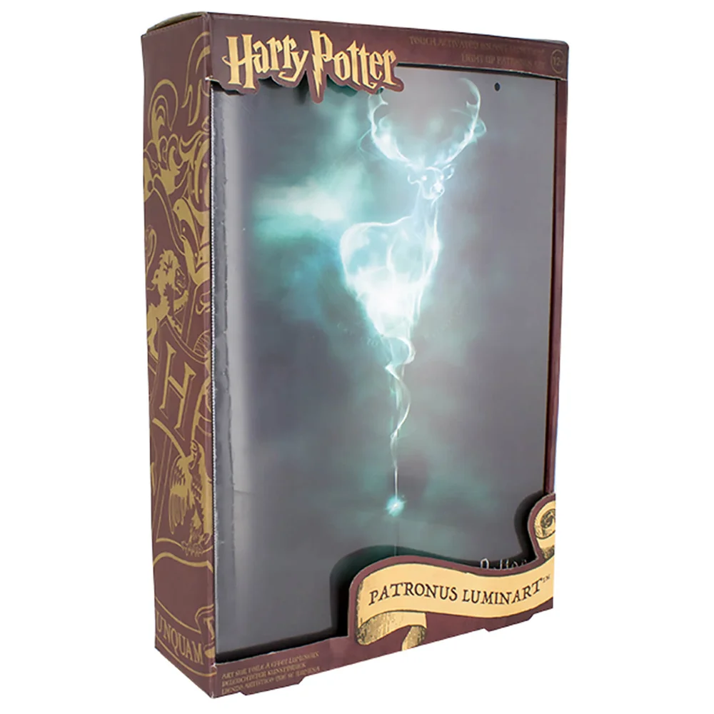 Harry Potter Luminart Image 1