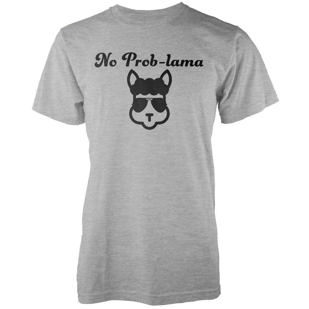 No Prob-Lama Grey T-Shirt - S Image 1