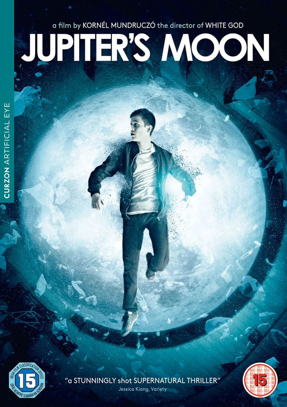 Jupiter's Moon Image 1