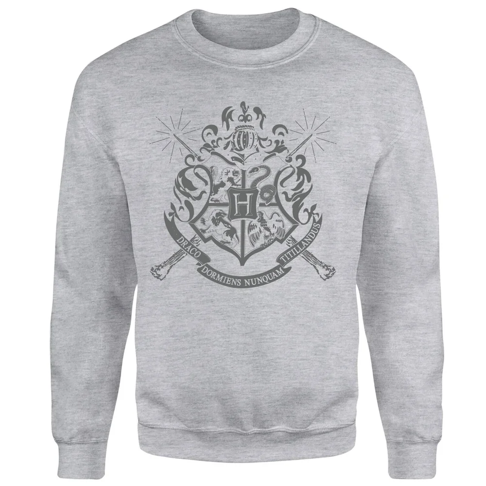 Harry Potter Draco Dormiens Nunquam Titillandus Men's Grey Sweatshirt - S Image 1