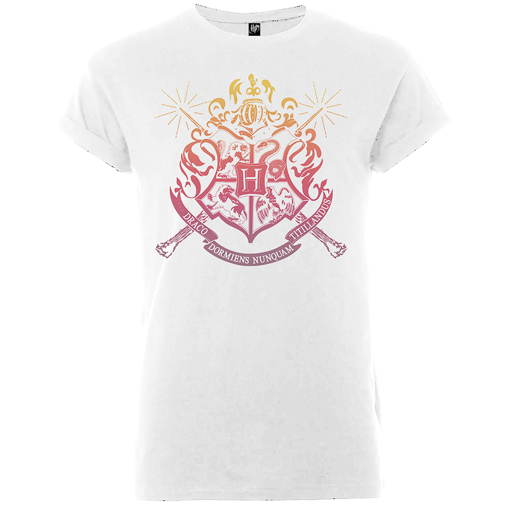 Harry Potter Draco Dormiens Nunquam Titillandus Men's White T-Shirt - S Image 1