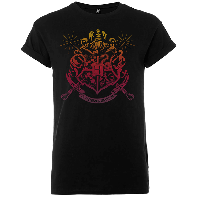 Harry Potter Draco Dormiens Nunquam Titillandus Men's Black T-Shirt