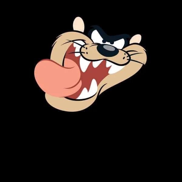 Looney Tunes Tasmanian Devil Face Sweatshirt - Black