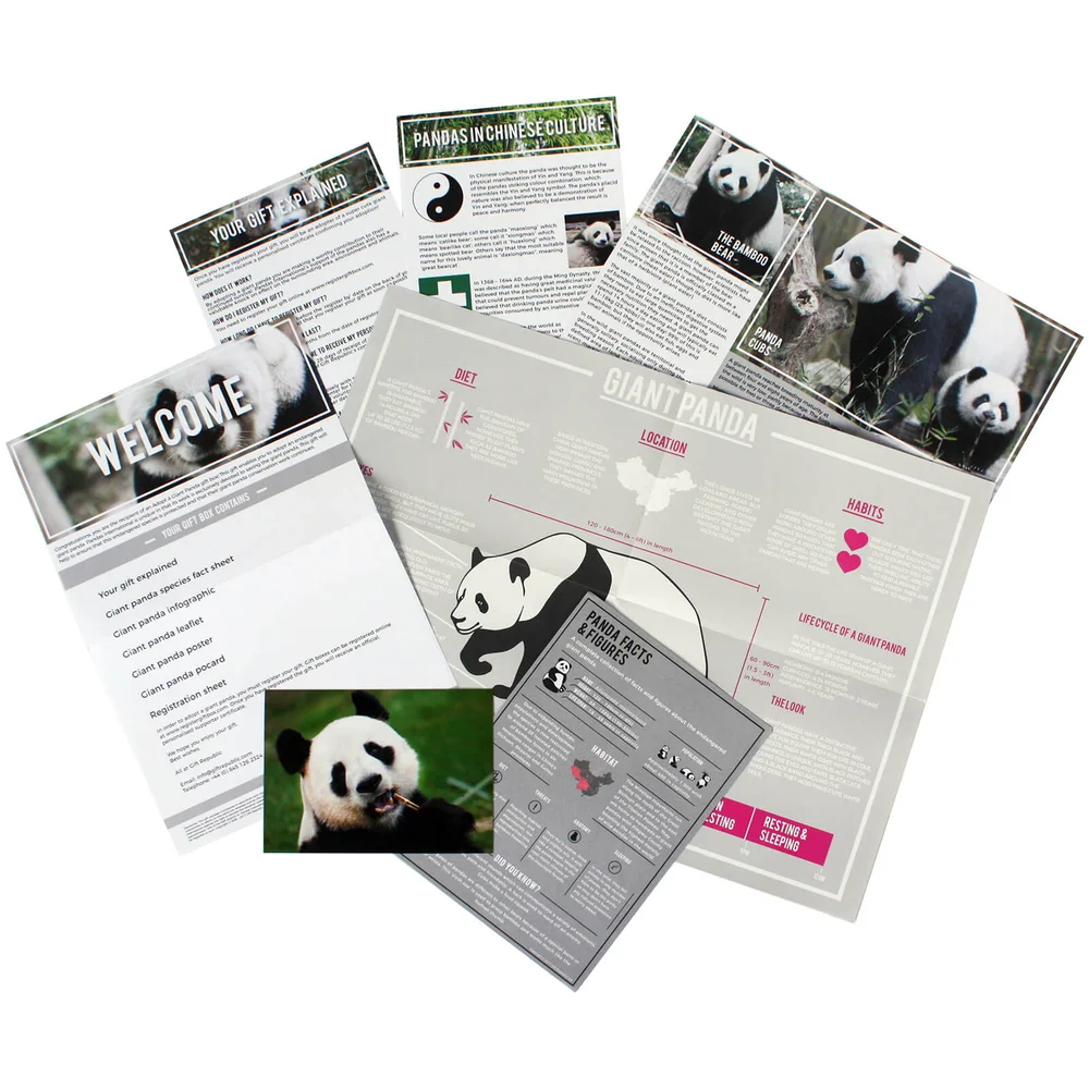 Adopt A Panda Image 1