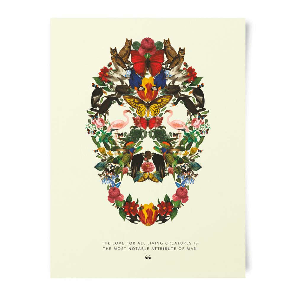Natural History Museum Skull Of Wildlife Art Print Image 1