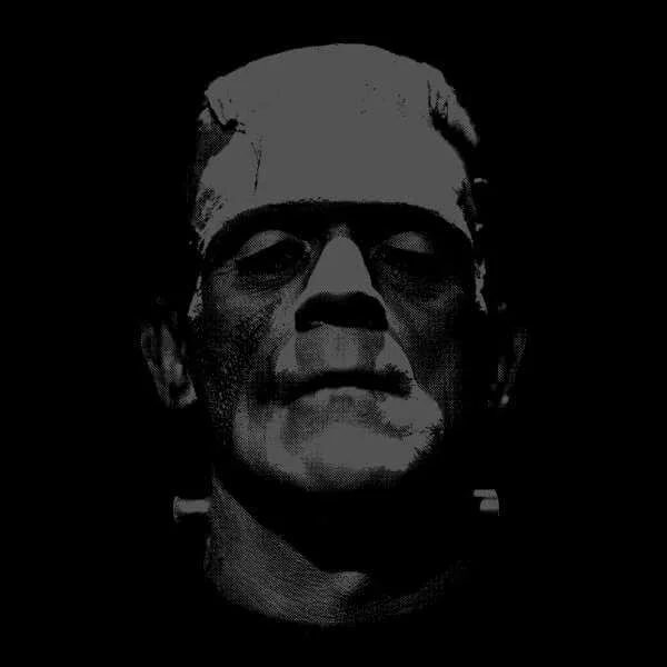 Universal Monsters Frankenstein Black and White Sweatshirt - Black