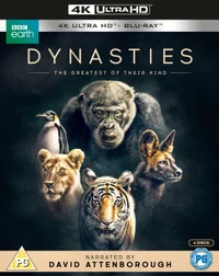 Dynasties - 4K Ultra HD - undefined undefined