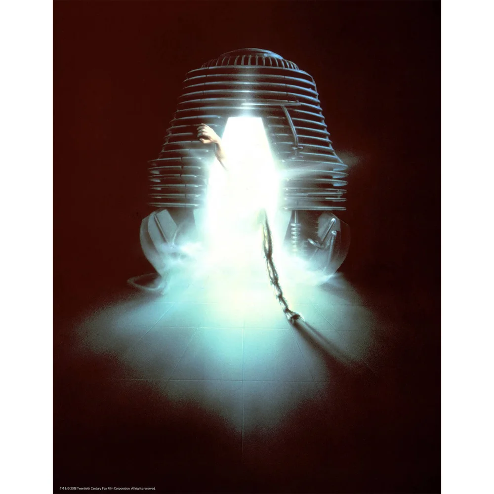 The Fly Limited Edition Art Print Image 1