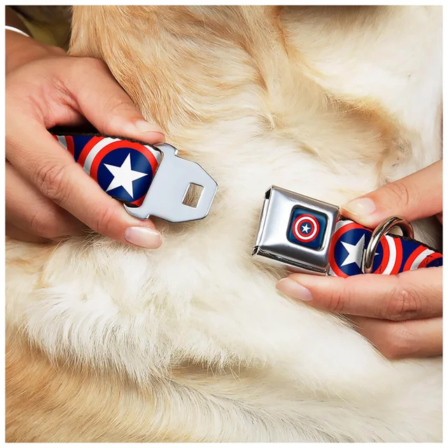 Buckle-Down Marvel Captain America Shield Dog Collar (Various Sizes)