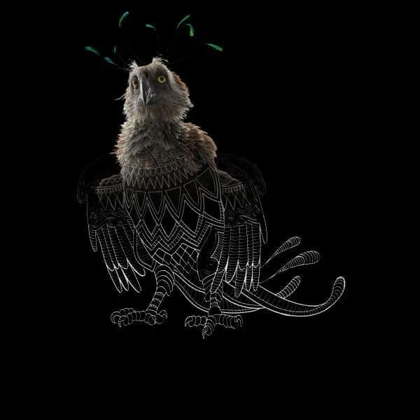 Fantastic Beasts Tribal Augurey Sweatshirt - Black