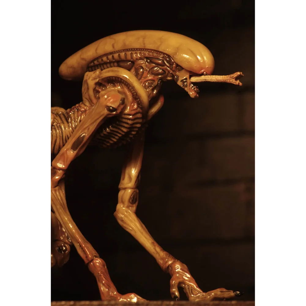 933317_7 933317_7