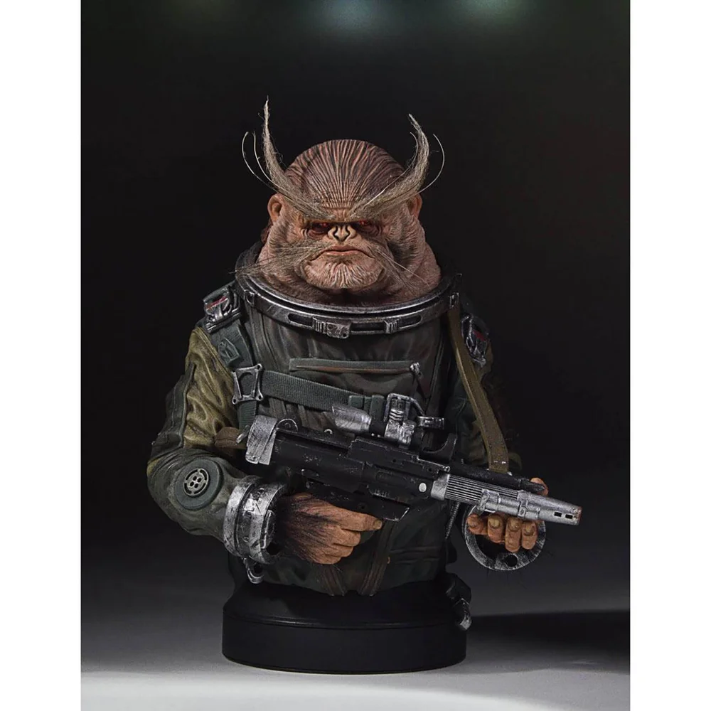 Gentle Giant Star Wars: Rogue One - A Star Wars Story 1/6 Bistan Mini Bust - 22cm Image 1