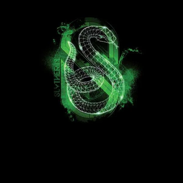 Harry Potter Slytherin Geometric Sweatshirt - Black