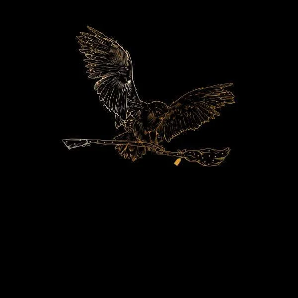 Harry Potter Hedwig Broom Gold Sweatshirt - Black