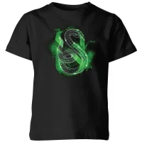 Harry Potter Slytherin Geometric Kids' T-Shirt - Black - undefined undefined