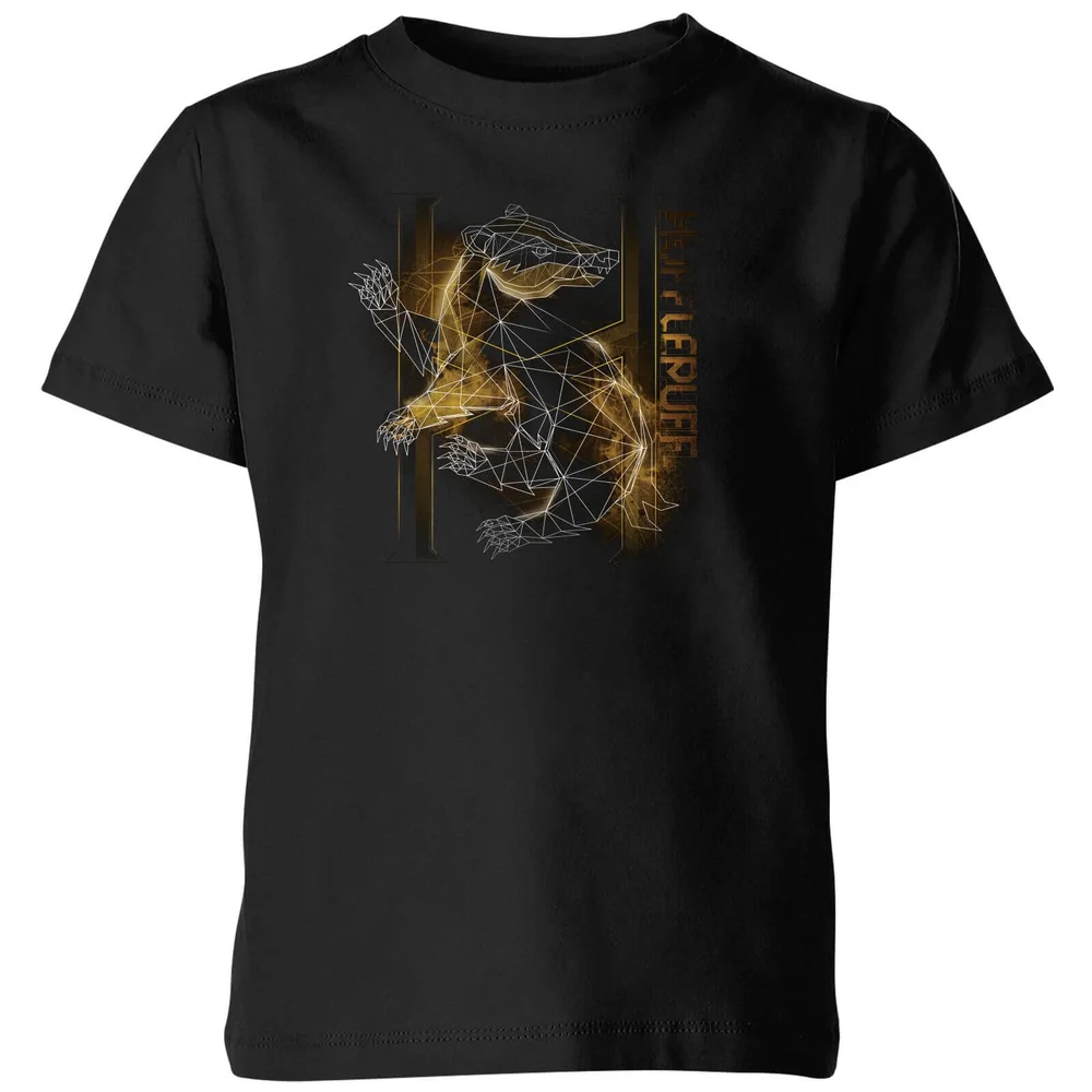 Harry Potter Hufflepuff Geometric Kids' T-Shirt - Black - 3-4 Years Image 1