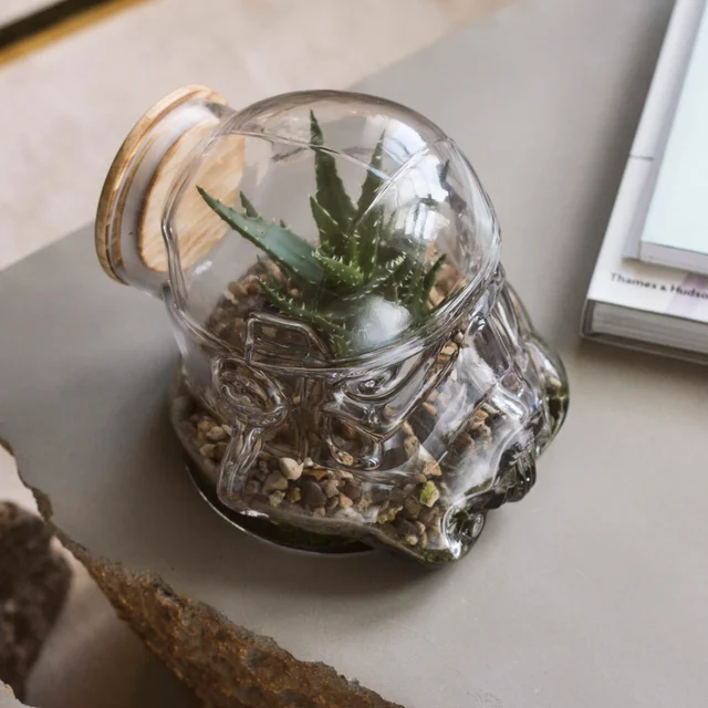 Original Stormtrooper Terrarium/Cookie Jar - Clear, based on the Original Stormtrooper Helmet design