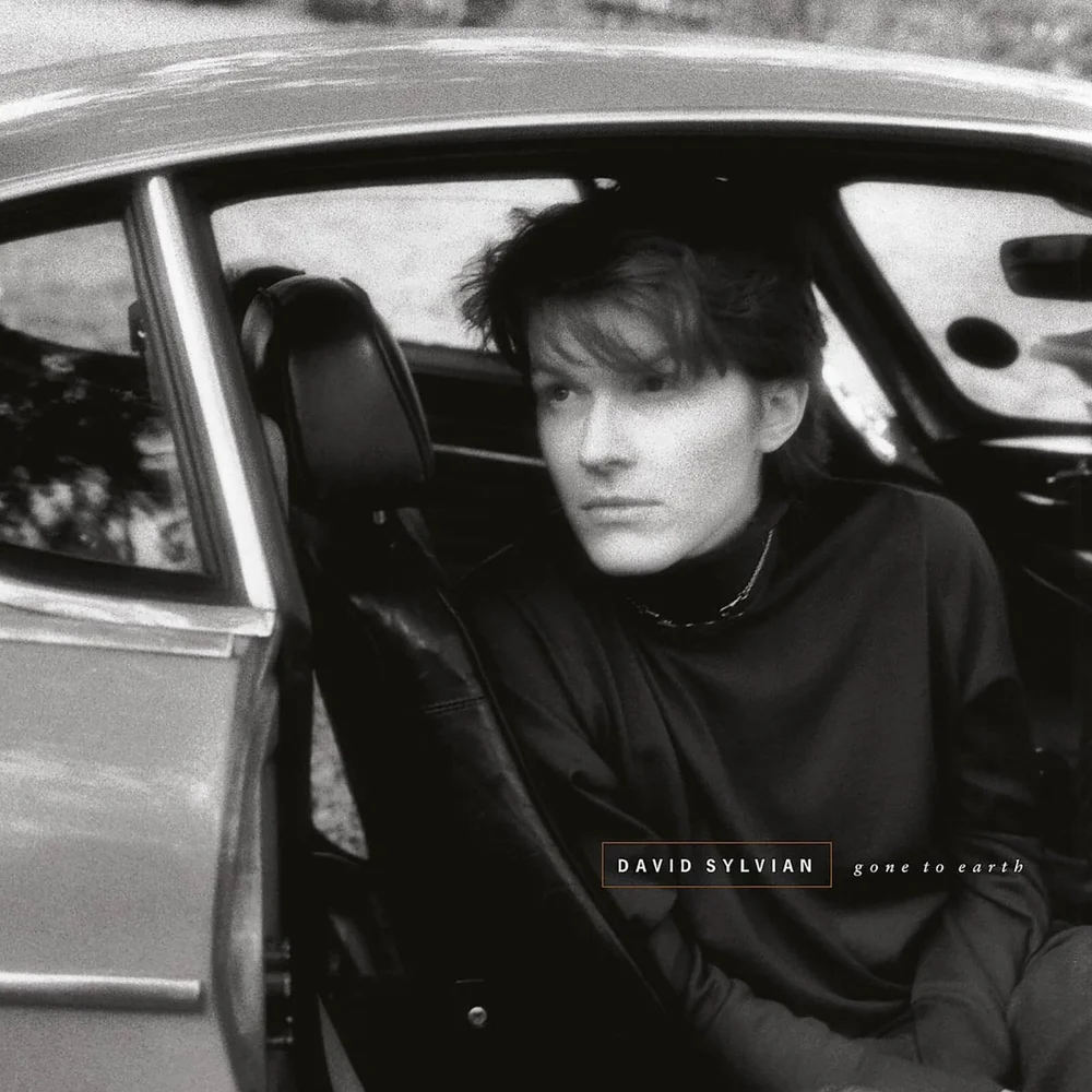 David Sylvian - Gone To Earth Vinyl 2LP Image 1