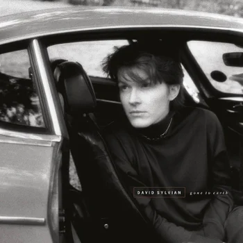 David Sylvian - Gone To Earth Vinyl 2LP