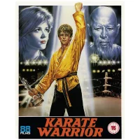 Karate Warrior - undefined undefined