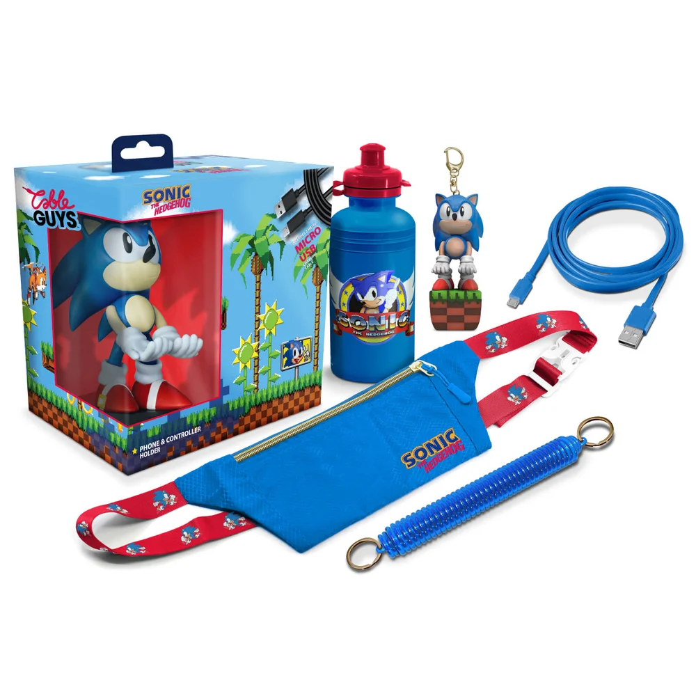 Sonic The Hedgehog Collectable Big Box (w/ Exclusive Cable Guy) Image 1