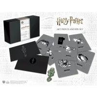 Harry Potter Dark Arts Pin Badge and Art Cards Set - undefined undefined