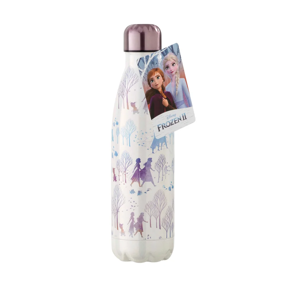 Funko Homeware Disney Frozen 2 Metal Water Bottle Image 1
